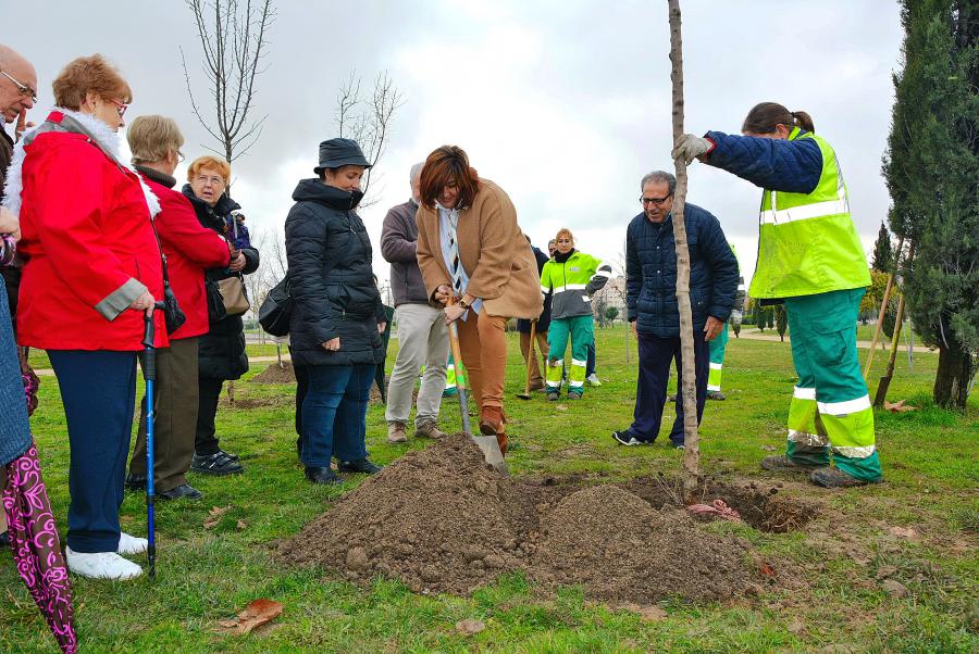#Alcorcón planta con @Aparkam 15 nuevos almendros para visibilizar la enfermedad del #Párkinson