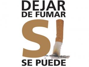 https://sur-madrid.com/online/?p=6453