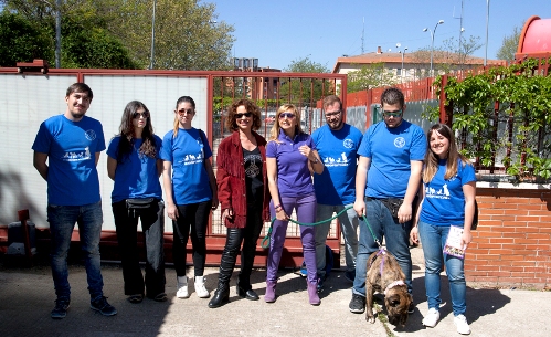 https://sur-madrid.com/online/?p=7040