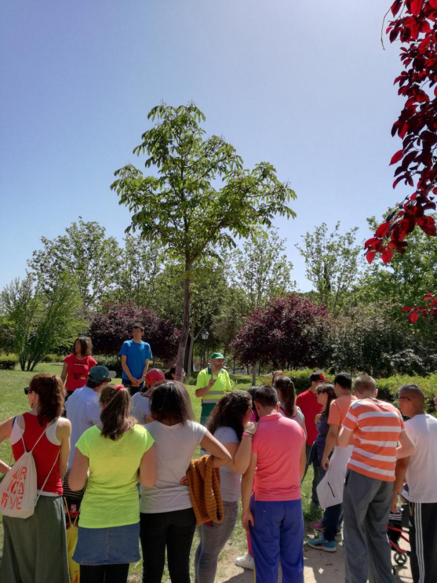 60 niños del CEE Severo Ochoa de #Alcorcón participan en el Día Internacional de la Diversidad Biológica