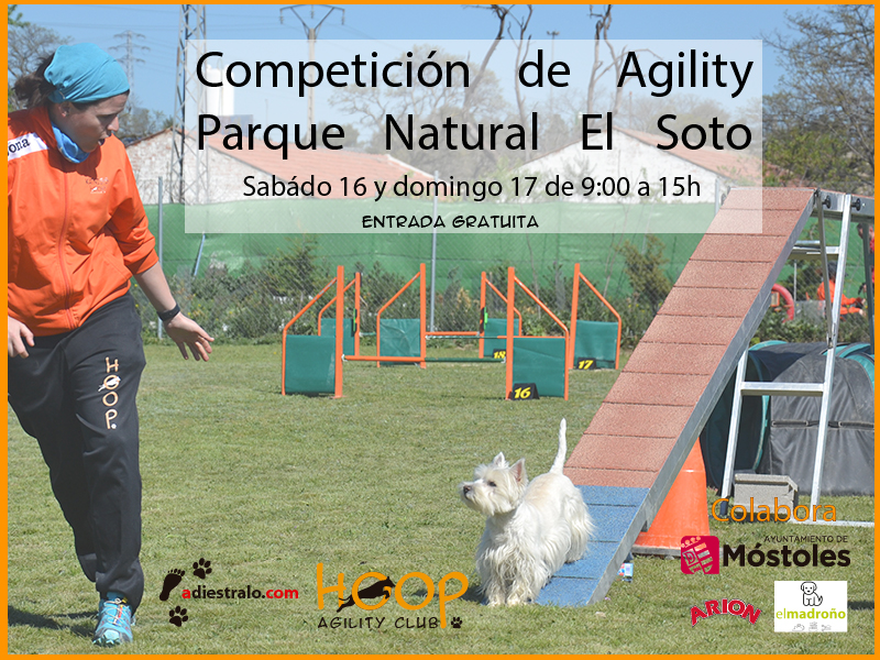https://sur-madrid.com/online/?p=10349