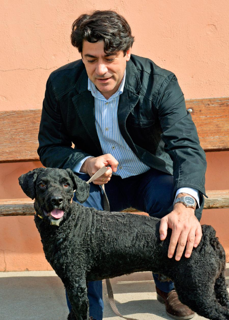 #Alcorcón logra el mayor número de #adopciones desde 2011