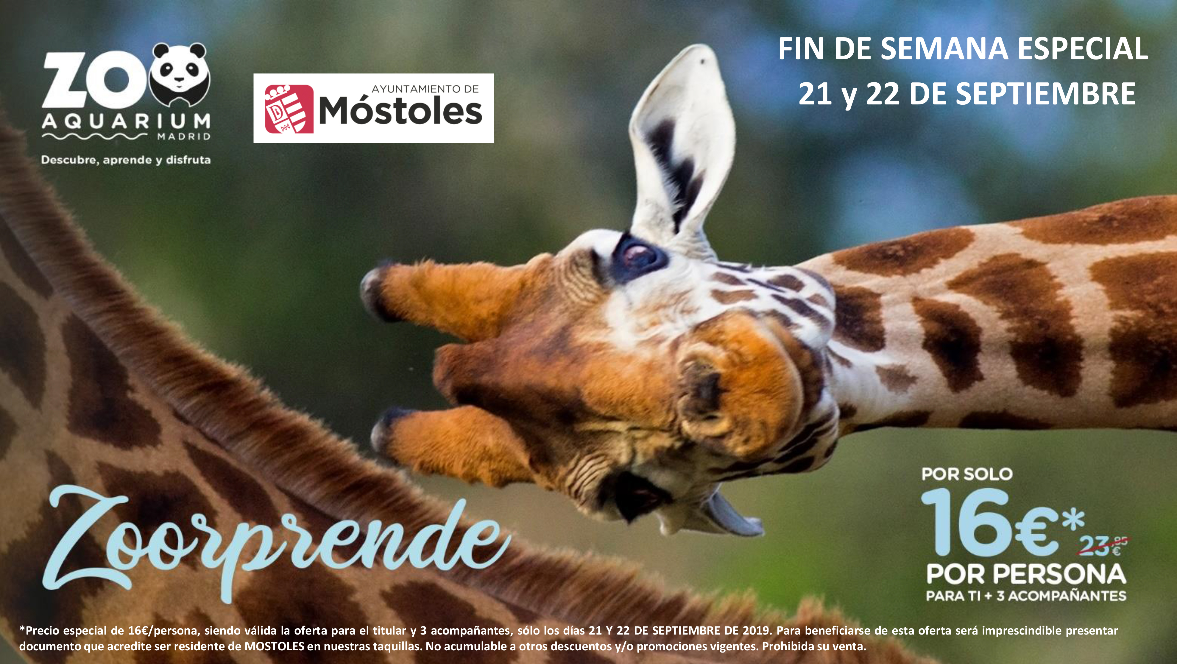 https://sur-madrid.com/online/?p=27232