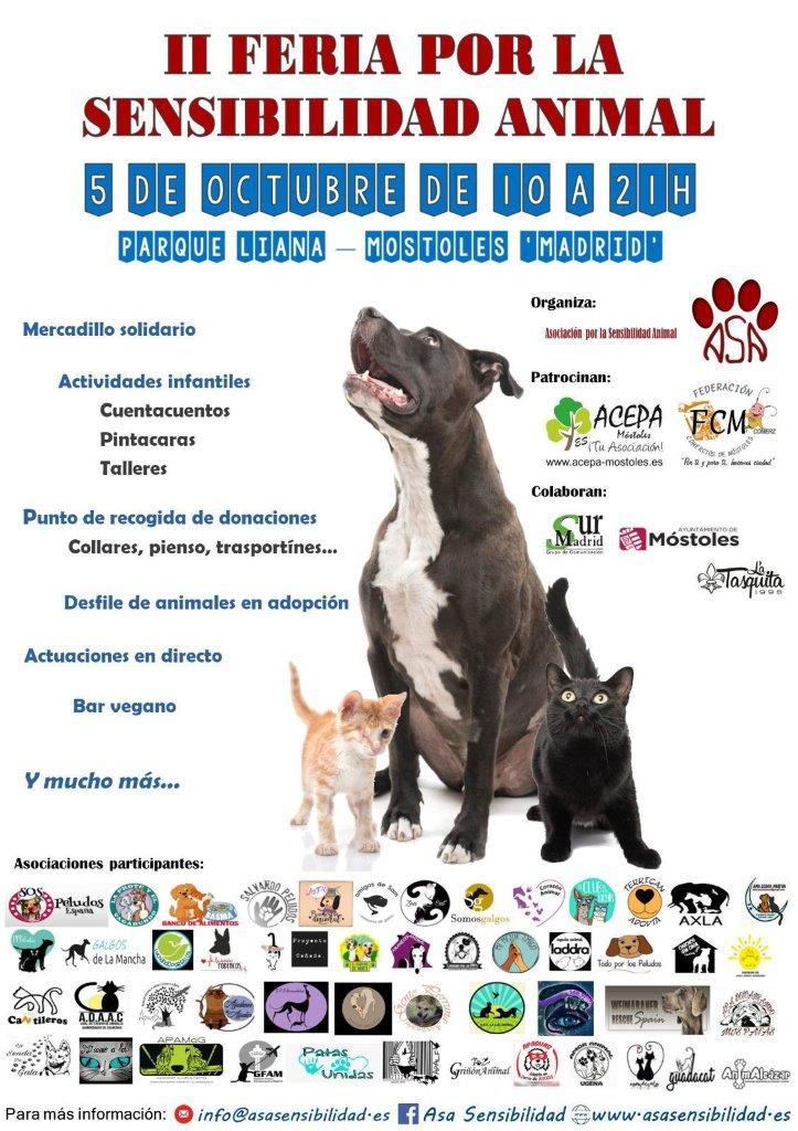 https://sur-madrid.com/online/?p=27524