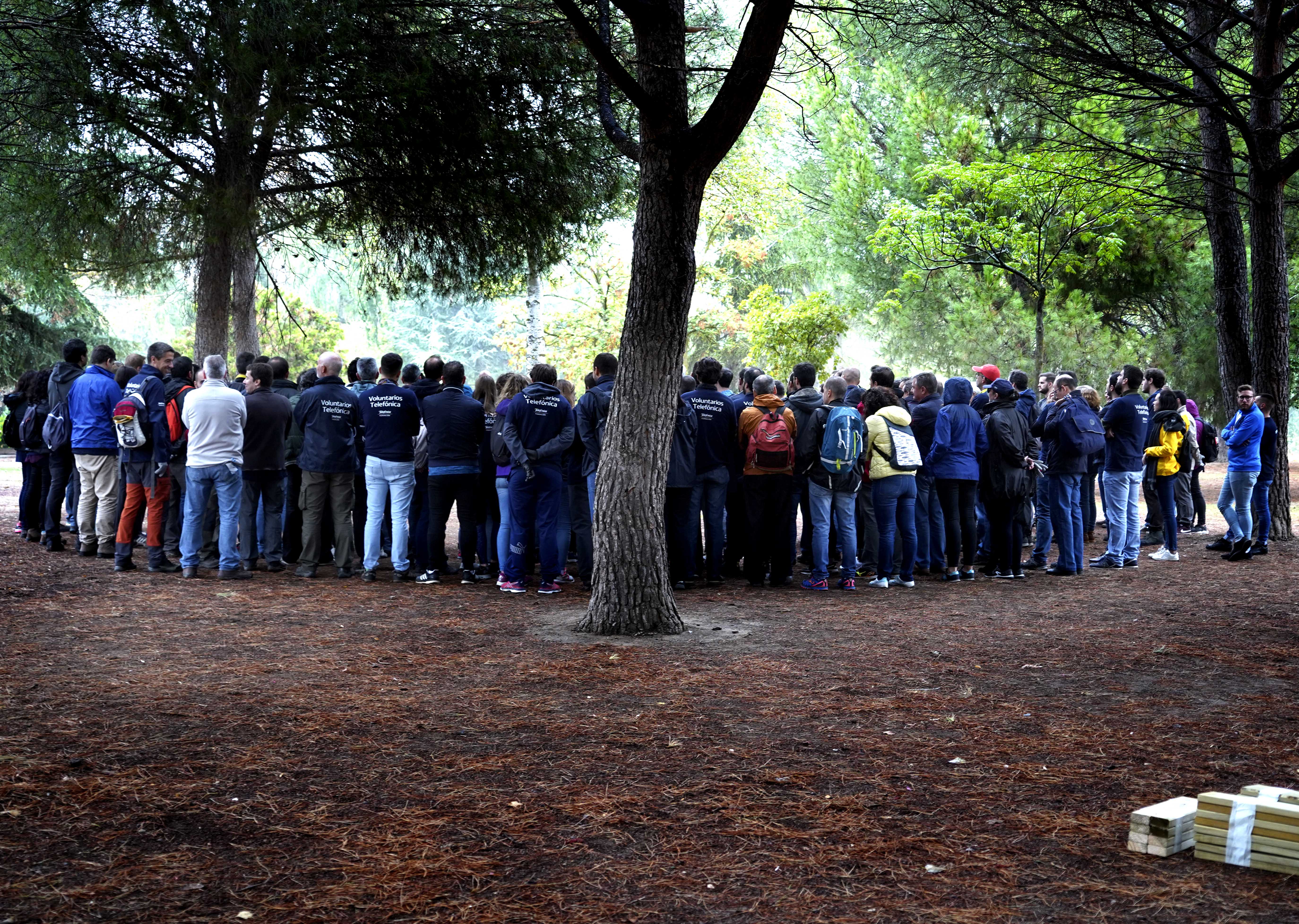 https://sur-madrid.com/online/?p=27724