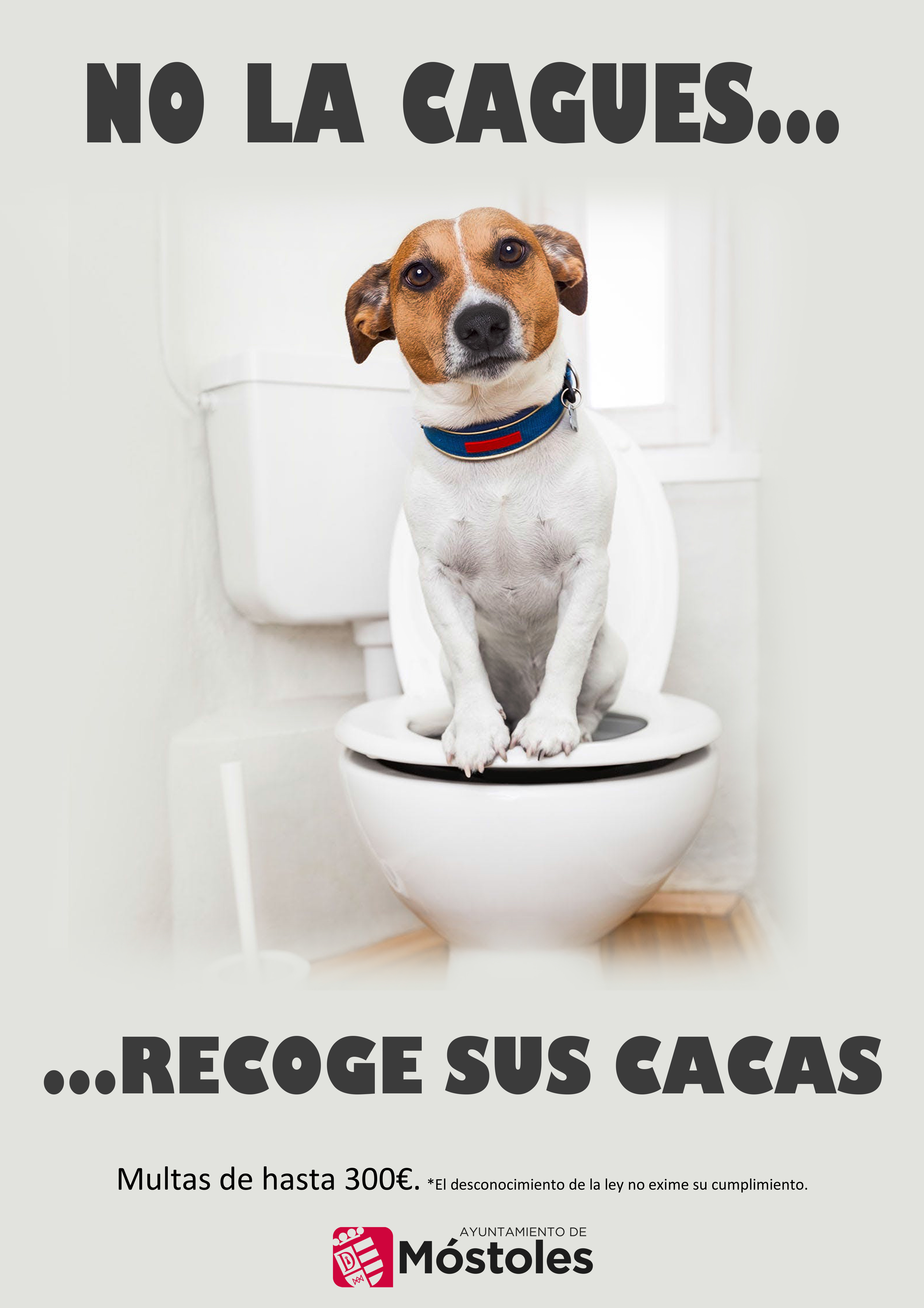 https://sur-madrid.com/online/?p=28379