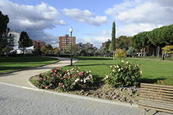 https://sur-madrid.com/online/?p=28560