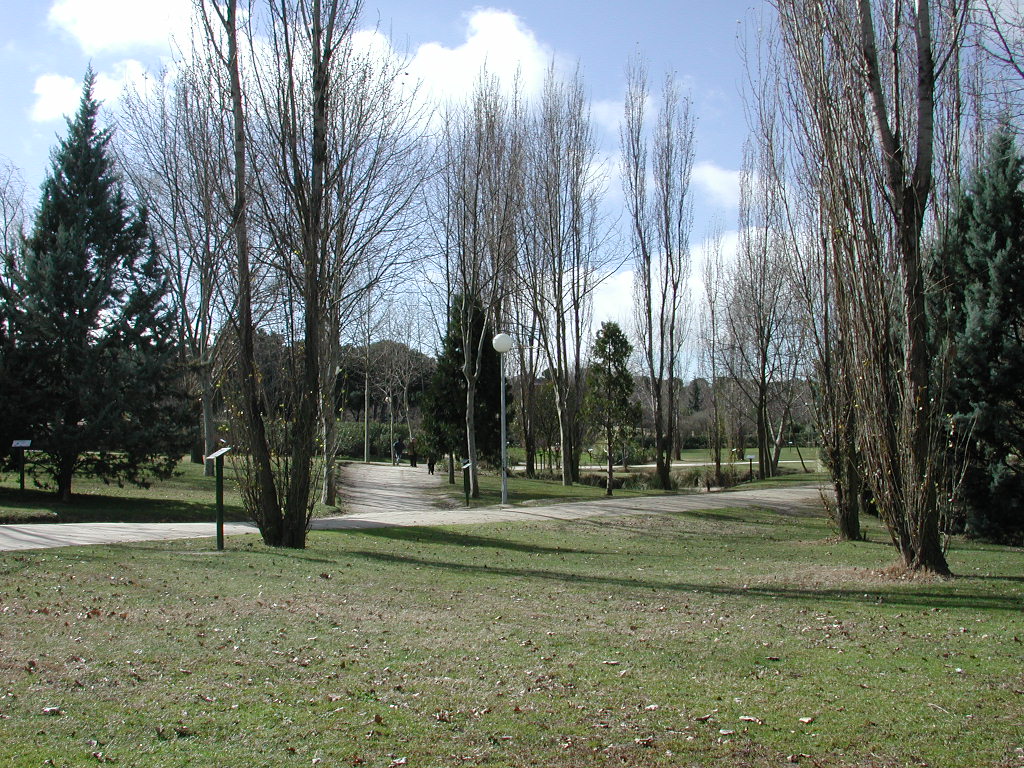 https://sur-madrid.com/online/?p=28834