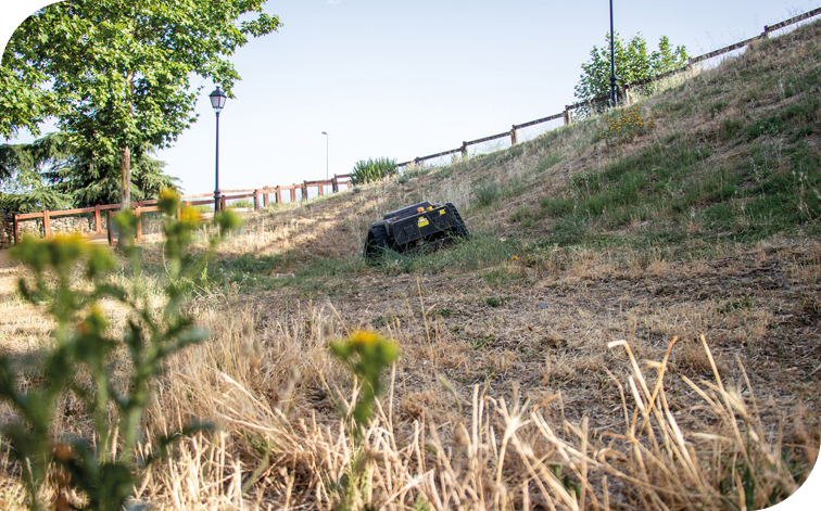 El Ayuntamiento está desbrozando y limpiando más de 400 hectáreas de zonas verdes y parcelas municipales