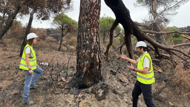 La Comunidad de Madrid actúa en 100 kilómetros de caminos forestales afectados por el gran incendio de la Sierra Oeste para garantizar la seguridad ciudadana