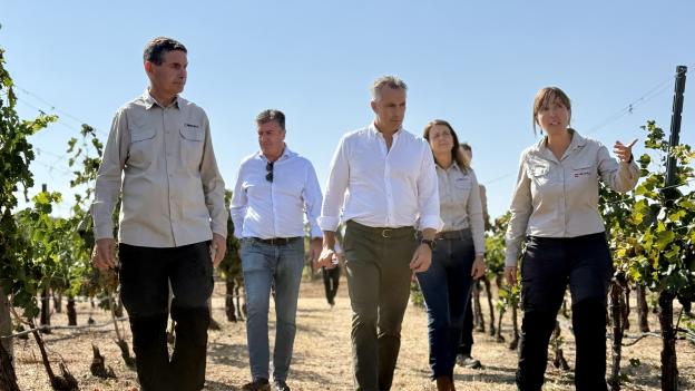 La Comunidad de Madrid pone a disposición de los viticultores de la D.O. Vinos de Madrid 31.500 kilos de uva procedentes del IMIDRA