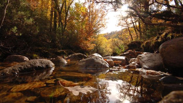 La Comunidad de Madrid otorga sus primeros Premios de Medio Ambiente a nueve iniciativas y trayectorias por su labor de protección del entorno natural
