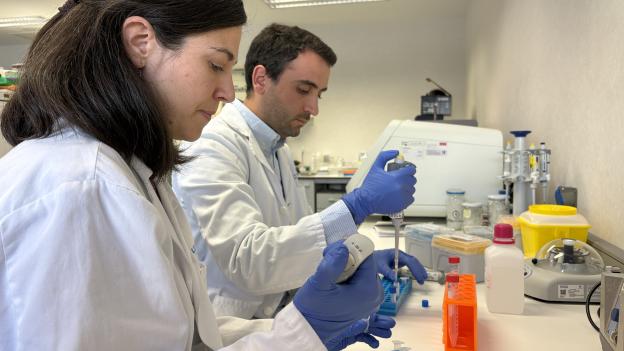 La Comunidad de Madrid inicia la creación de la nueva fundación de investigación e innovación biomédica de los hospitales públicos del sur de la región