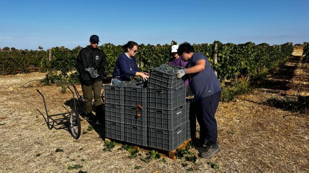 La Comunidad de Madrid abre sus centros de investigación agraria a estudiantes de FP y de universidades para realizar sus prácticas académicas