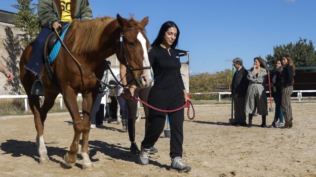 La Comunidad de Madrid desarrolla un programa de terapia asistida con caballos para lograr la recuperación de mujeres víctimas de violencia