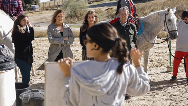 La Comunidad de Madrid desarrolla un programa de terapia asistida con caballos para lograr la recuperación de mujeres víctimas de violencia