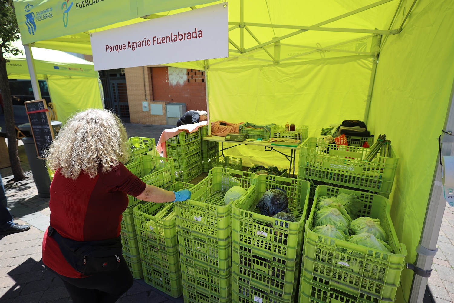 El Mercado de Productores se traslada al bulevar del paseo de la Salud