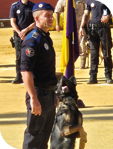 Móstoles conmemora los 30 años de su Unidad Canina con el I Campeonato Militar y Policial de Guías Caninos