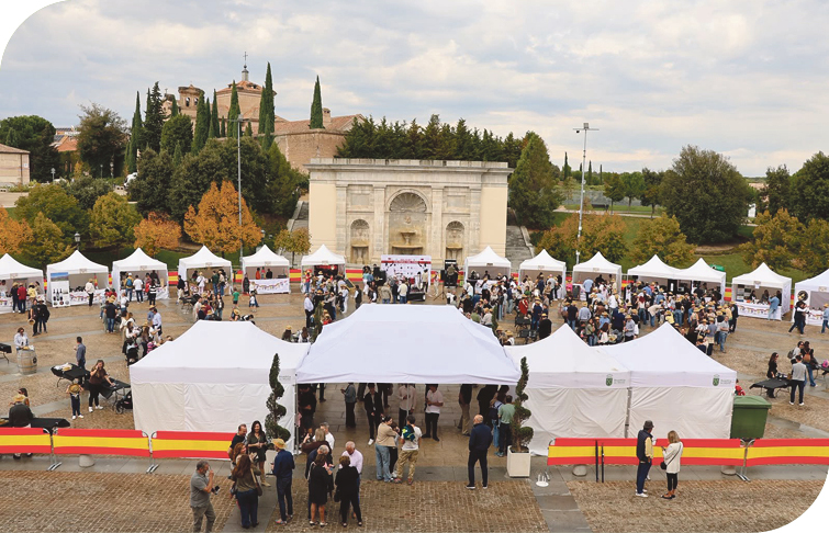 Boadilla del Monte celebra la VIII Feria del Vino en la explanada del Palacio del Infante don Luis