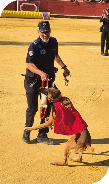 Móstoles conmemora los 30 años de su Unidad Canina con el I Campeonato Militar y Policial de Guías Caninos