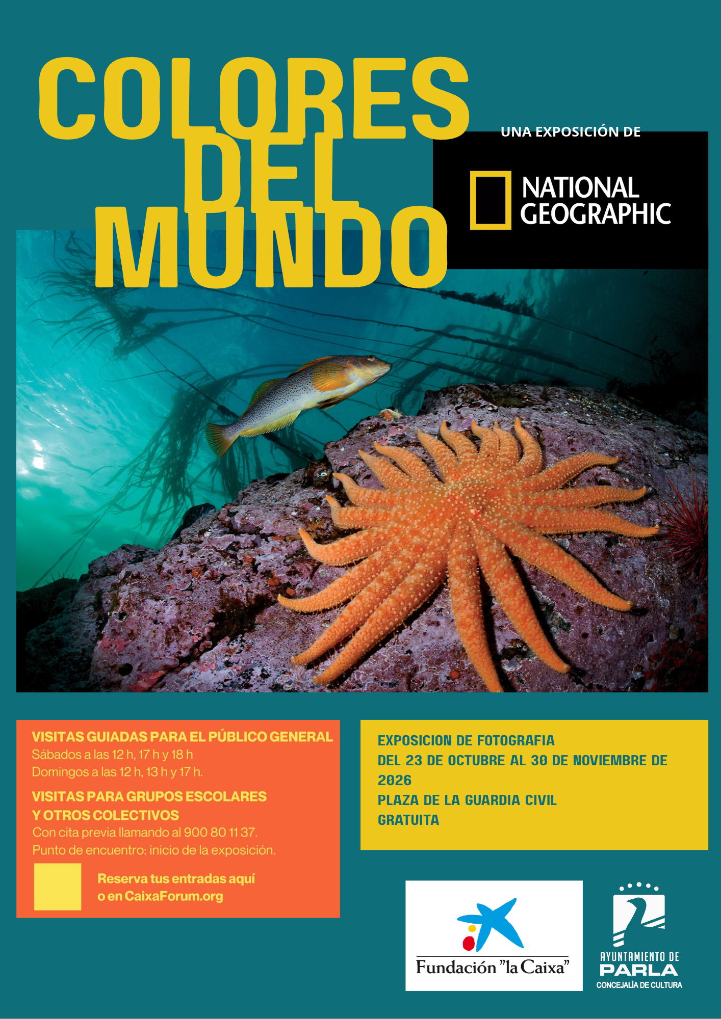 PARLA MUESTRA EL SIGNIFICADO DEL COLOR EN EL MUNDO A TRAVÉS DE UNA EXPOSICIÓN DE FOTOGRAFÍAS DE NATIONAL GEOGRAPHIC