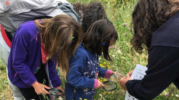 La Comunidad de Madrid organiza más de 200 actividades medioambientales gratuitas este otoño para descubrir la riqueza del patrimonio natural