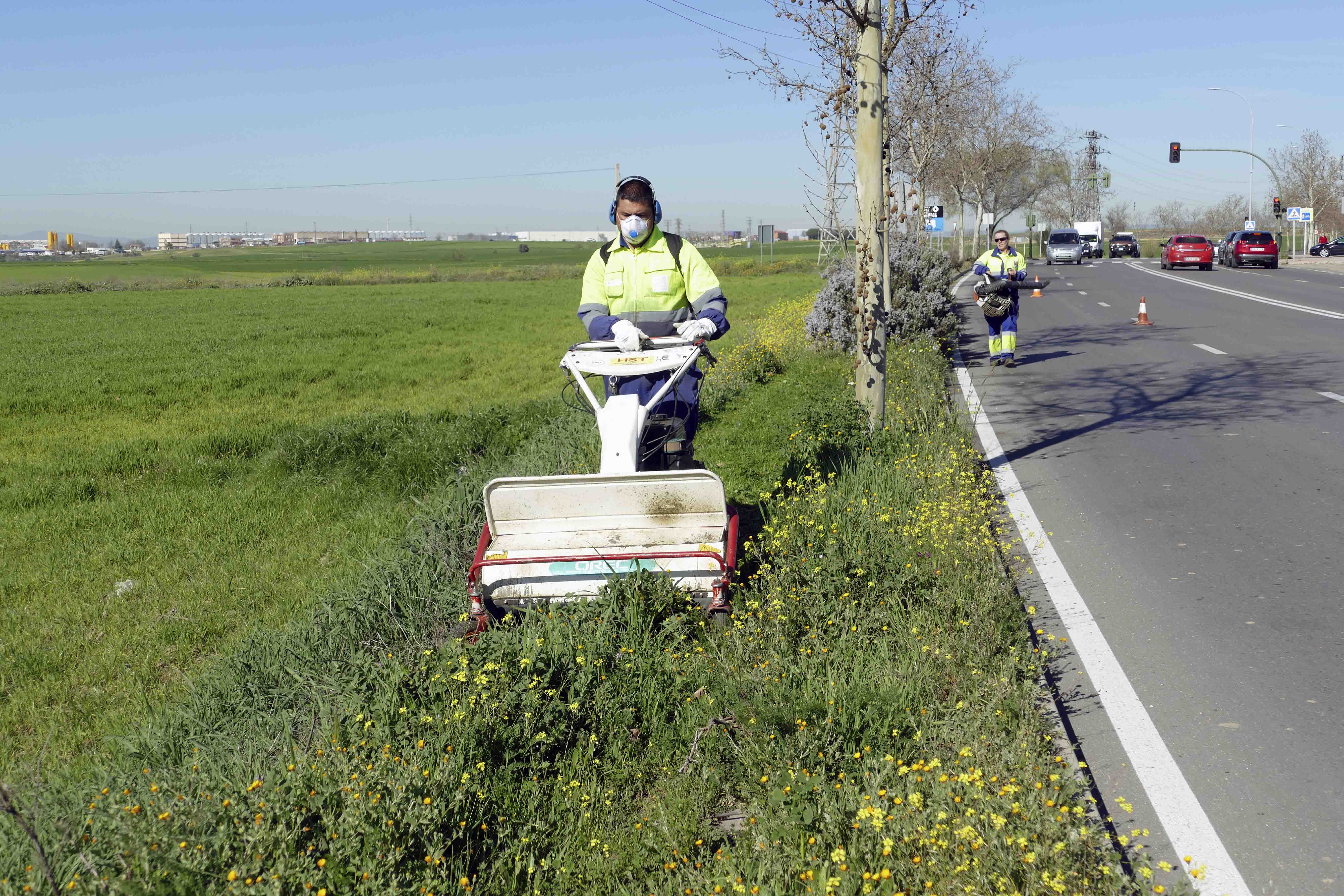 Texto Alternativo: El Ayuntamiento pone en marcha una campaña de revisión y mejora de los parques y jardines públicos de Móstoles