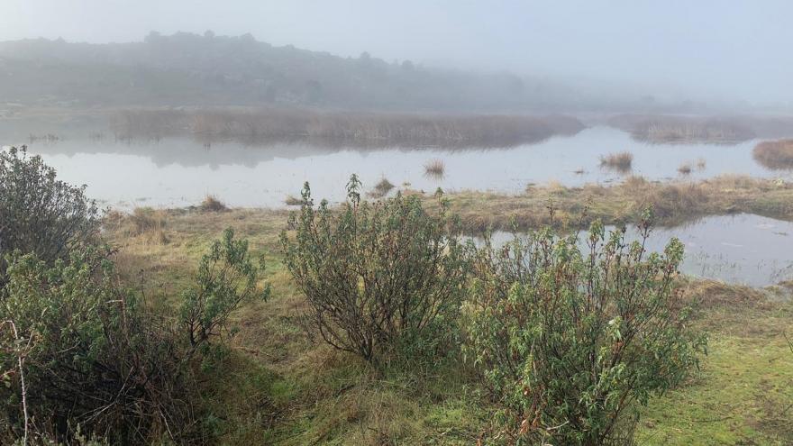 Texto Alternativo: Invertiremos 11 millones de euros para preservar el valor natural de los humedales
