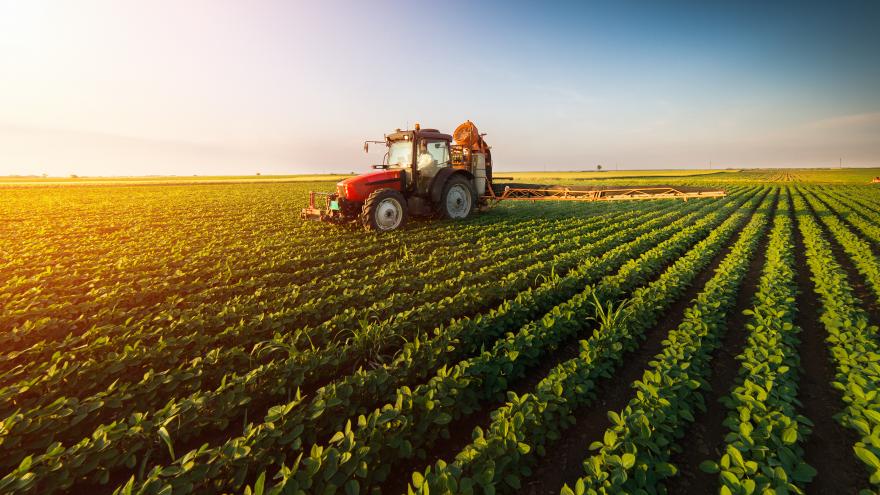 Texto Alternativo: Activamos un plan de apoyo al campo y a la industria alimentaria ante el COVID-19