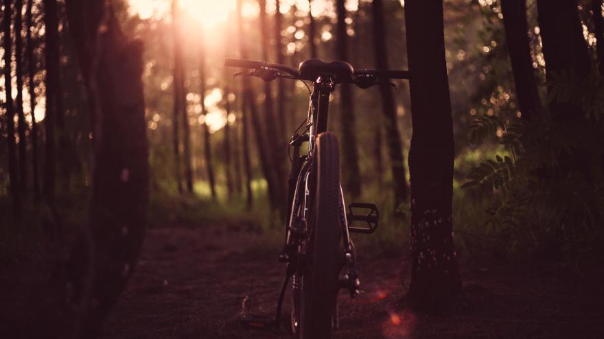 Texto Alternativo: La Comunidad de Madrid invita a conocer las mejores rutas de cicloturismo sin salir de casa