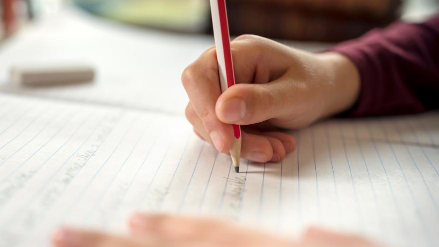 Texto Alternativo: Ofertaremos 175.000 plazas escolares el próximo curso escolar