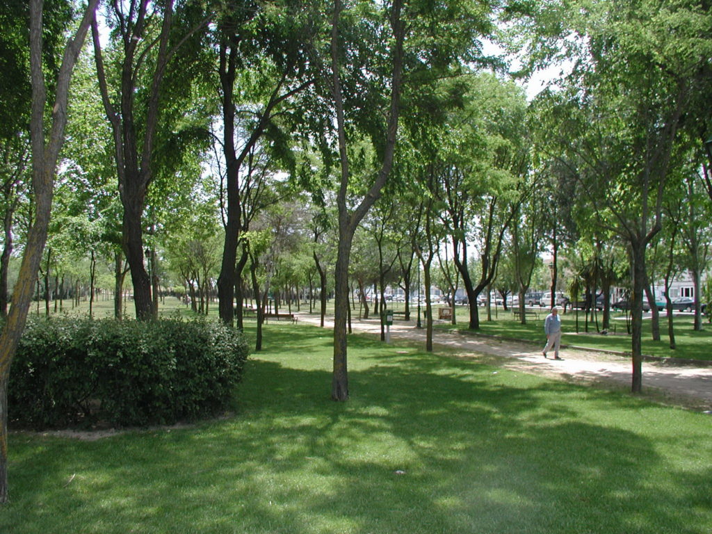 Texto Alternativo: El Ayuntamiento de Getafe lleva a cabo varias actuaciones para el control de mosquitos