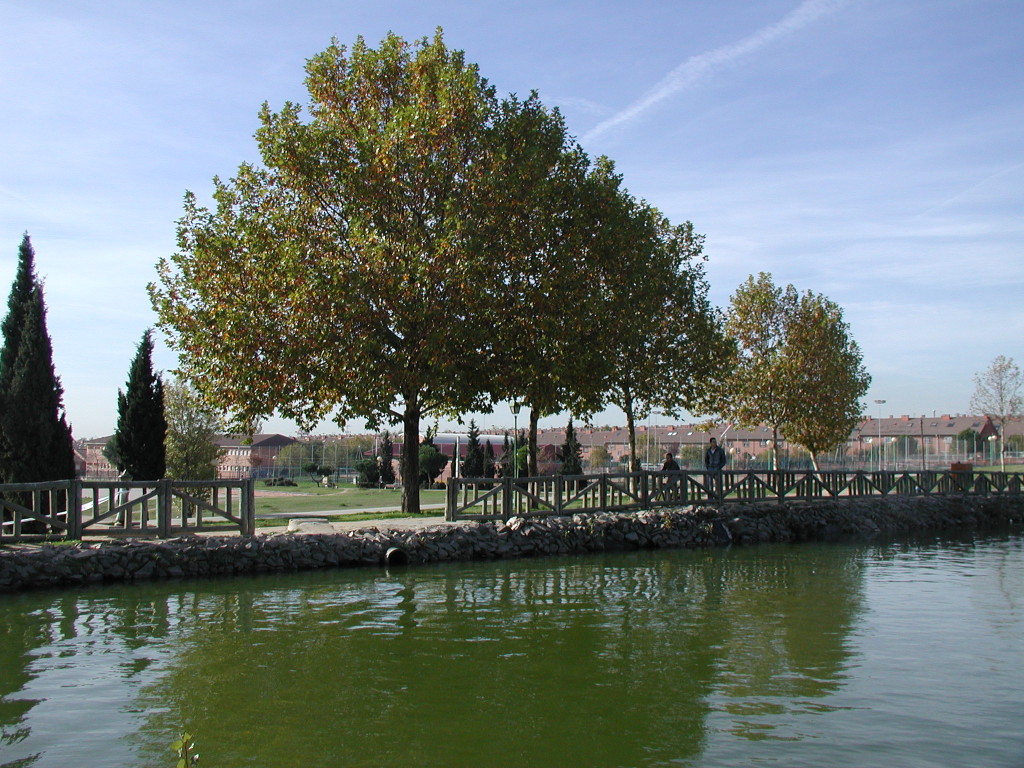 Texto Alternativo: El Gobierno Municipal apuesta por la apertura diaria de los parques de La Alhóndiga, Castilla La Mancha y el Cerro de los Ángeles
