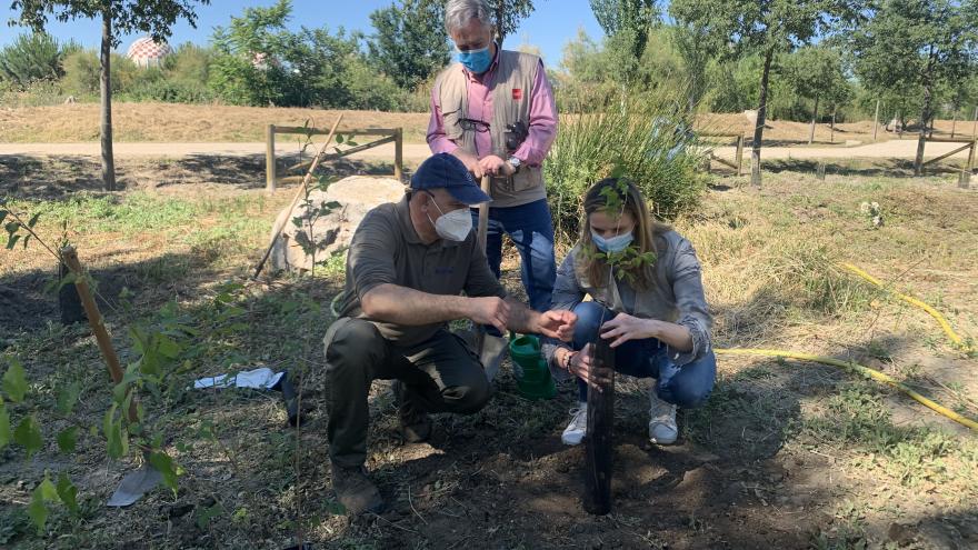 Texto Alternativo: La Comunidad realiza labores de acondicionamiento del proyecto Arco Verde a su paso por Bosquesur