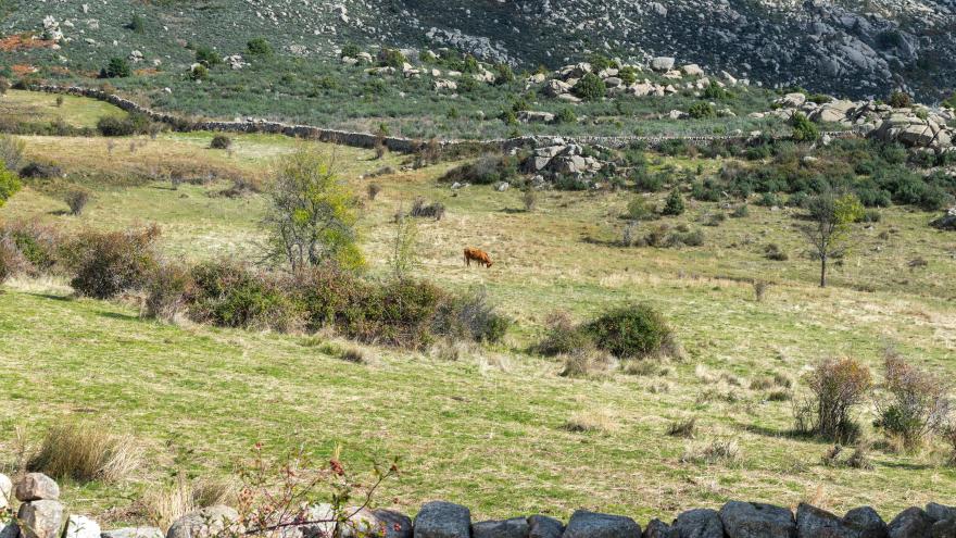 Texto Alternativo: La Comunidad permite desde el lunes estacionar en los grandes aparcamientos de la Sierra de Guadarrama
