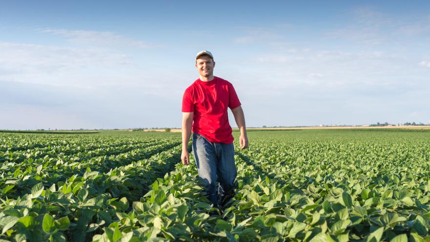 Texto Alternativo: El Gobierno de la Comunidad de Madrid aprueba 2,8 millones para apoyar a los jóvenes agricultores y ganaderos