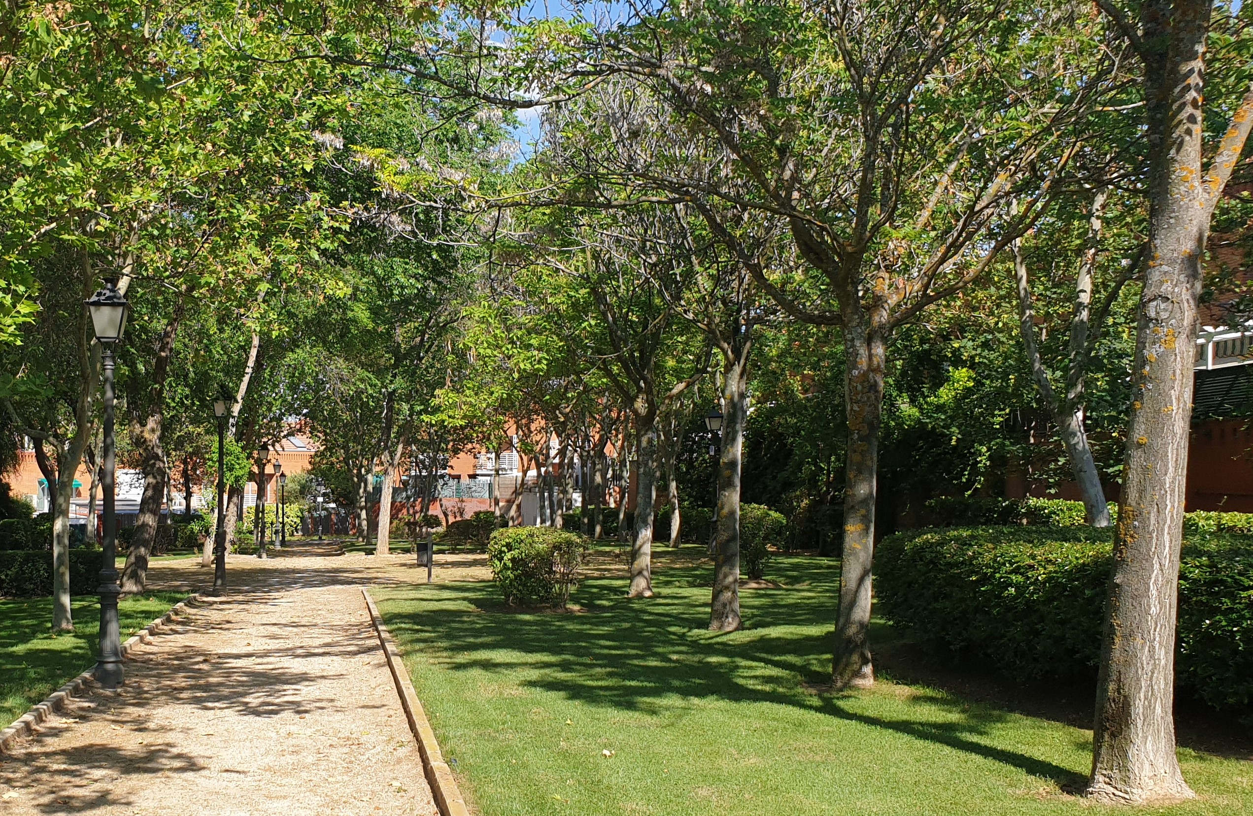 Texto Alternativo: Hasta el 10 de julio se mantiene abierto el periodo de información pública de la Ordenanza Municipal de Protección, Conservación y Fomento del Arbolado Urbano Público y Privado