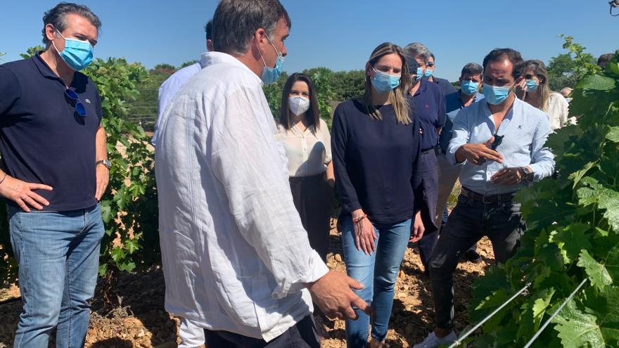 Texto Alternativo: Anticiparemos las ayudas a los vinos con Denominación de Origen para la recuperación del sector