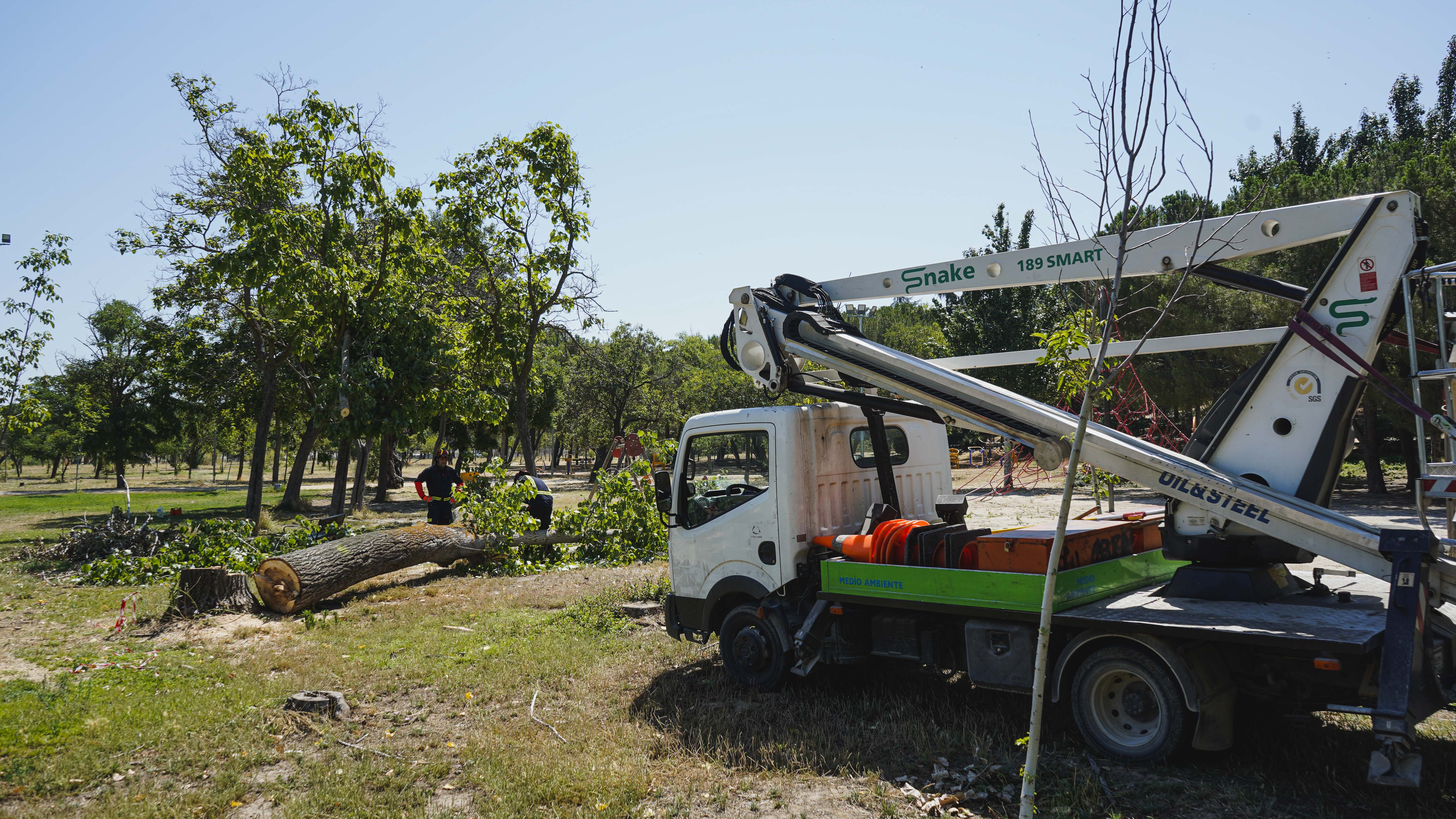 Texto Alternativo: El Gobierno de Móstoles reabrirá el jueves el parque El Soto
