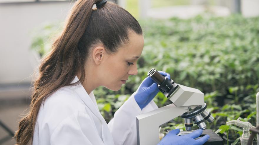 Texto Alternativo: Contrataremos a 422 jóvenes ayudantes de investigación y técnicos de laboratorio