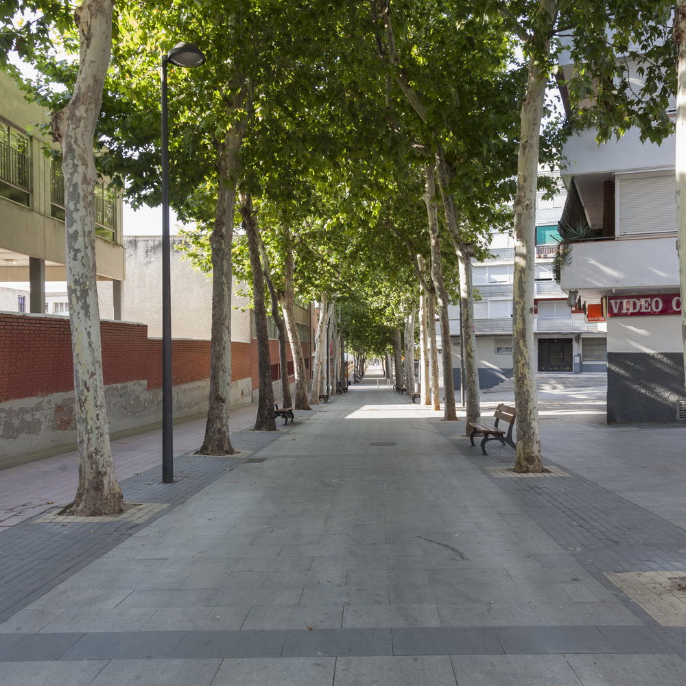 Texto Alternativo: Más de 1.660.000 euros destinados a ayudas de rehabilitación en Las Margaritas y La Alhóndiga