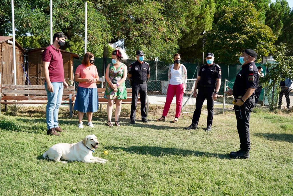Texto Alternativo: La Unidad Canina de la Policía Municipal de Móstoles una de las más eficaces de España