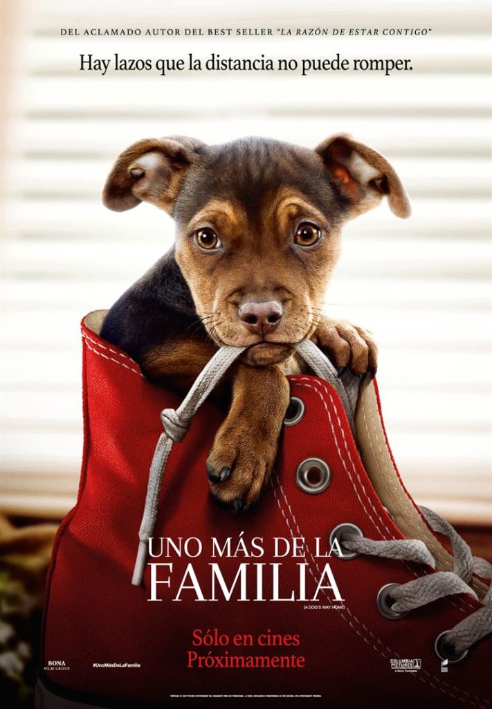 Texto Alternativo: “Uno más en la familia”. Cine de Verano