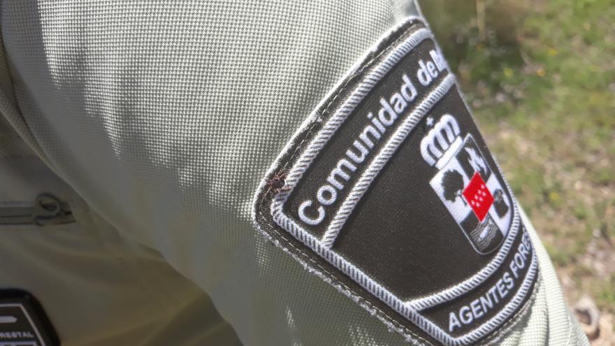 Texto Alternativo: El Gobierno de la Comunidad refuerza la protección del patrimonio histórico a través de los agentes forestales