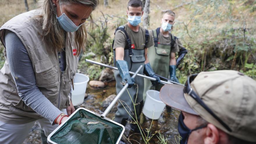 Texto Alternativo: La Comunidad inicia la campaña anual de censos y acciones de rescate de fauna piscícola en ríos trucheros