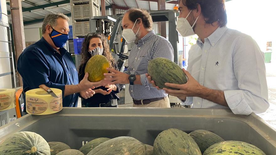 Texto Alternativo: Producimos 7.600 toneladas de melón al año de 13 variedades locales diferentes