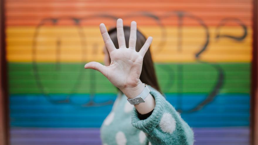 Texto Alternativo: El Gobierno de la Comunidad de Madrid inicia un programa de ayudas dirigido a población LGTBI en situación vulnerable