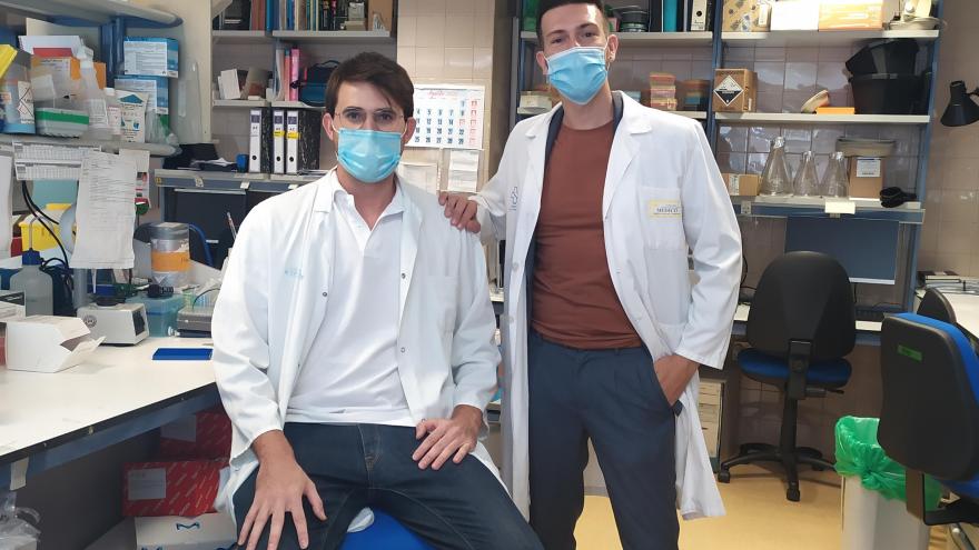 Texto Alternativo: Investigadores del IIS Princesa identifican células inmunitarias inflamatorias en pacientes COVID
