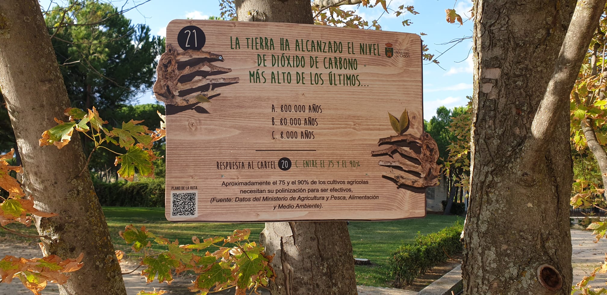 Texto Alternativo: La concejalía de Turismo invita a participar en una ruta medioambiental denominada Los árboles hablan"