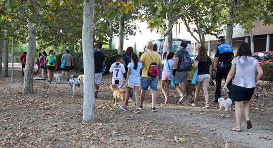 Texto Alternativo: El Centro de Protección Animal de Leganés participa en un estudio sobre la incidencia de la COVID19 en los animales domésticos